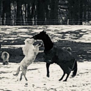 Meet your Posher, Melanie